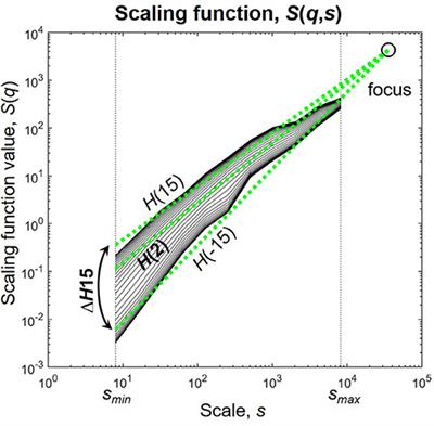 Multifractal Dynamic Functional Connectivity in the Resting-State Brain